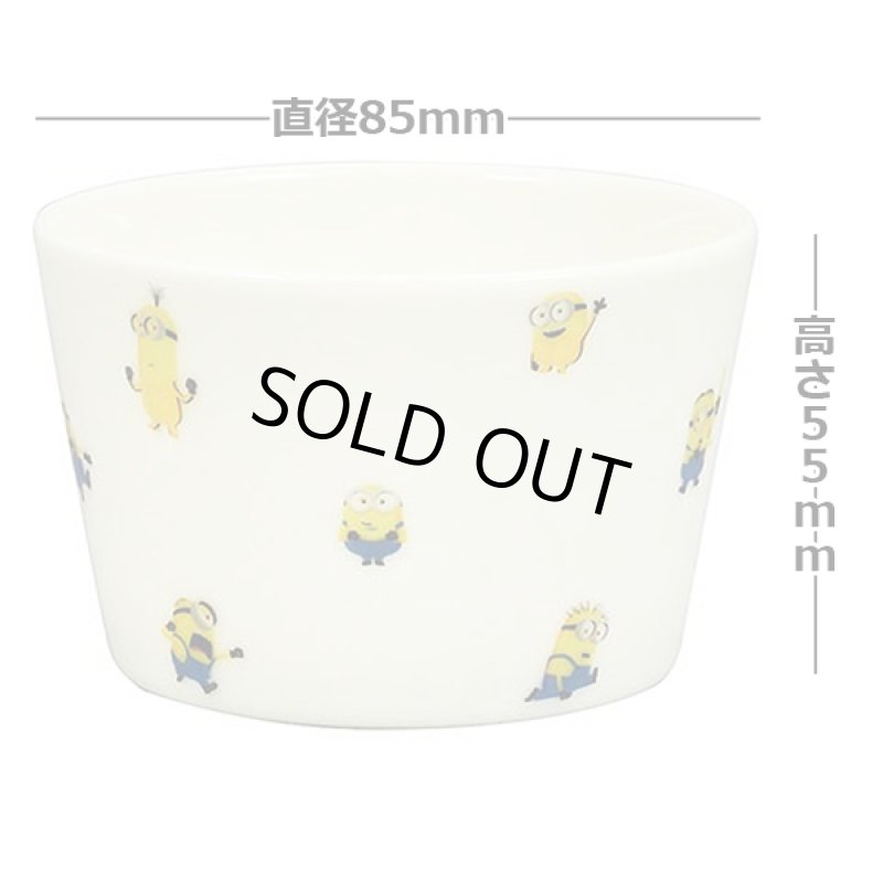 画像4: ミニオン8.8ボウル2柄セット (4)