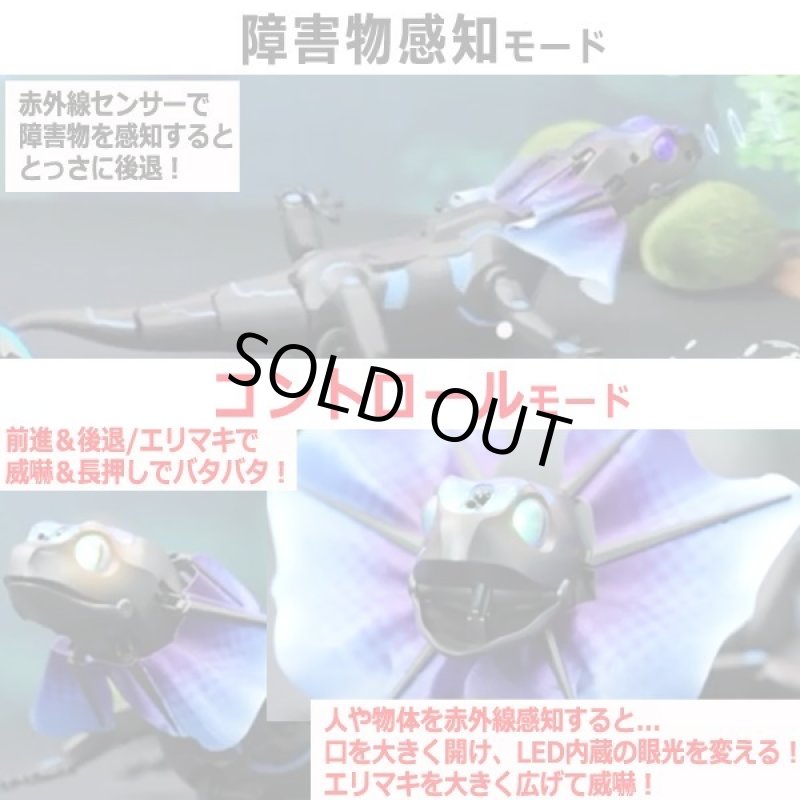 画像3: IRC[赤外線]アクションエリマキトカゲ (3)