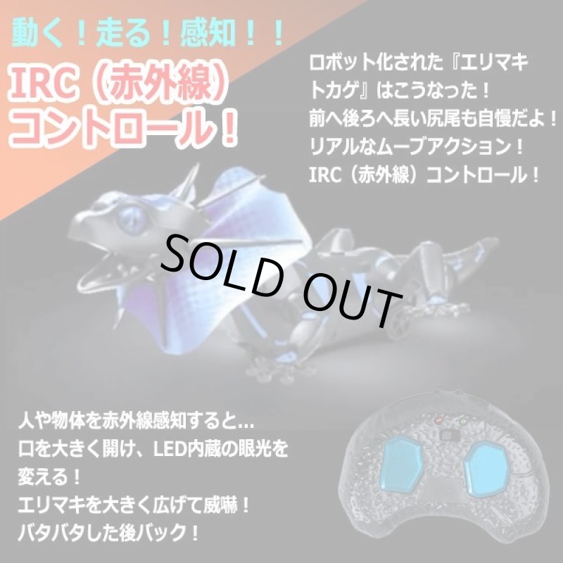 画像2: IRC[赤外線]アクションエリマキトカゲ (2)