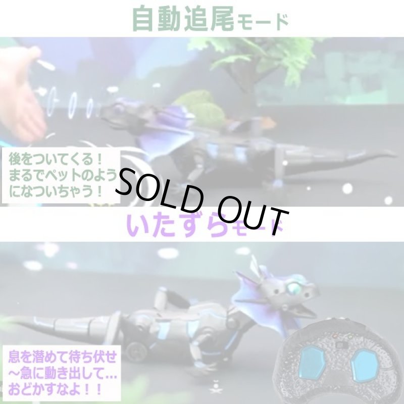 画像4: IRC[赤外線]アクションエリマキトカゲ (4)