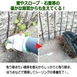 画像3: 草取りの手間解消！防草用のスキマフィル[1本] (3)