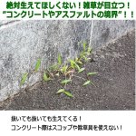 画像2: 草取りの手間解消！防草用のスキマフィル[3本] (2)