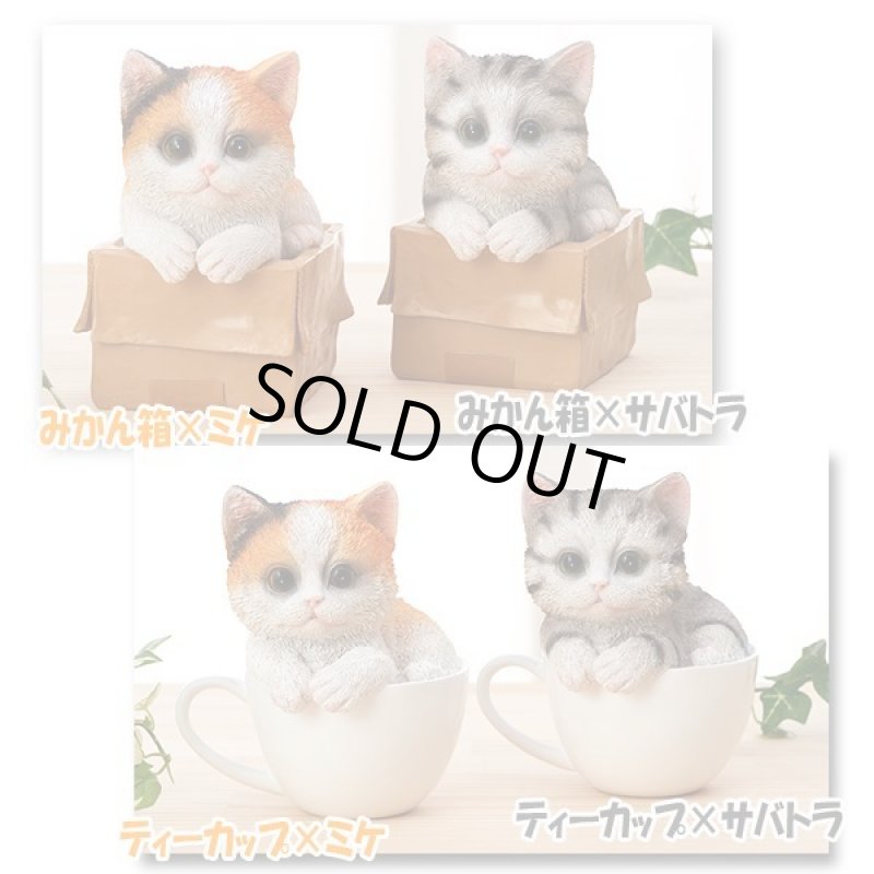 画像2: せまいところに入りたがる！ひょこニャン (2)