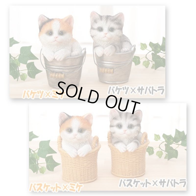 画像3: せまいところに入りたがる！ひょこニャン (3)