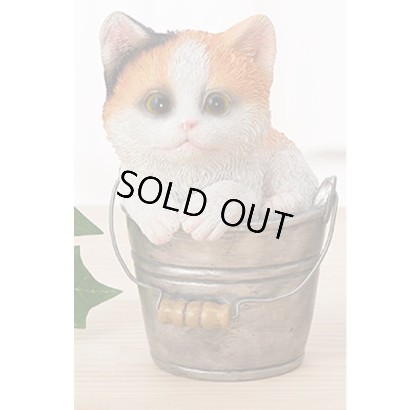 画像9: せまいところに入りたがる！ひょこニャン (9)