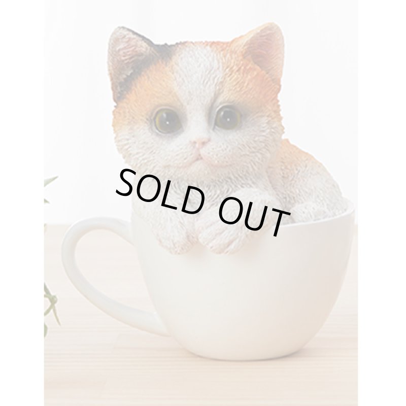 画像7: せまいところに入りたがる！ひょこニャン (7)