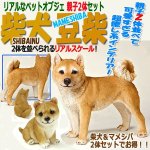 画像1: リアルなペットオブジェ「2体セット（柴犬＆マメシバ）」III  (1)