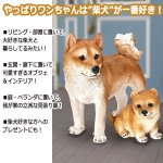 画像4: リアルなペットオブジェ「柴犬（大）」III  (4)