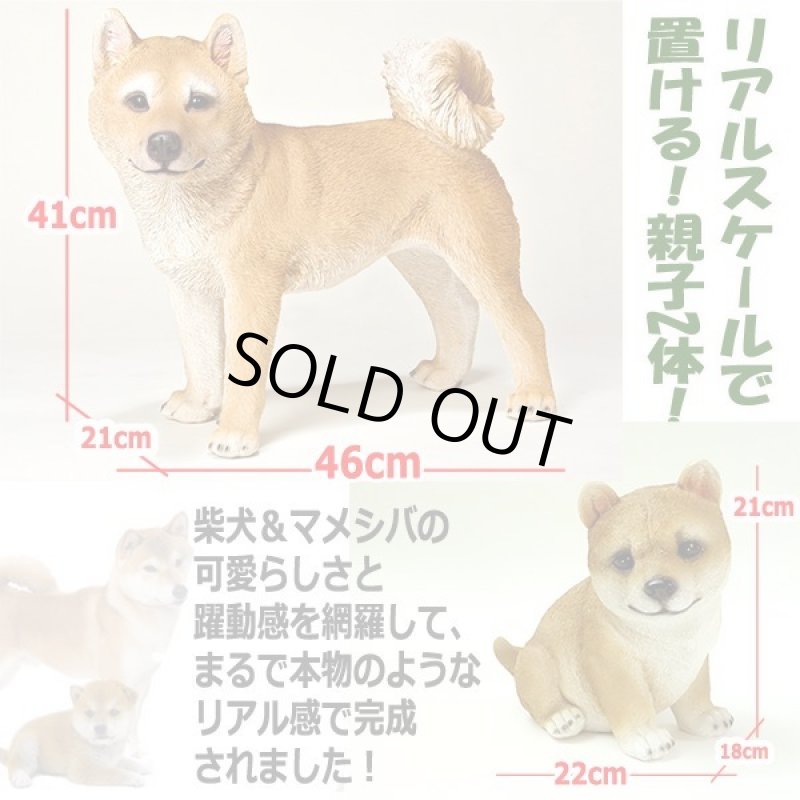 画像3: リアルなペットオブジェ「2体セット(柴犬&マメシバ)」III  (3)
