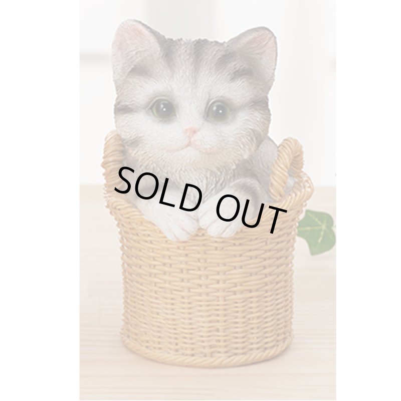 画像12: せまいところに入りたがる！ひょこニャン (12)