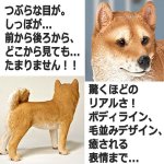 画像2: リアルなペットオブジェ「柴犬（大）」III  (2)