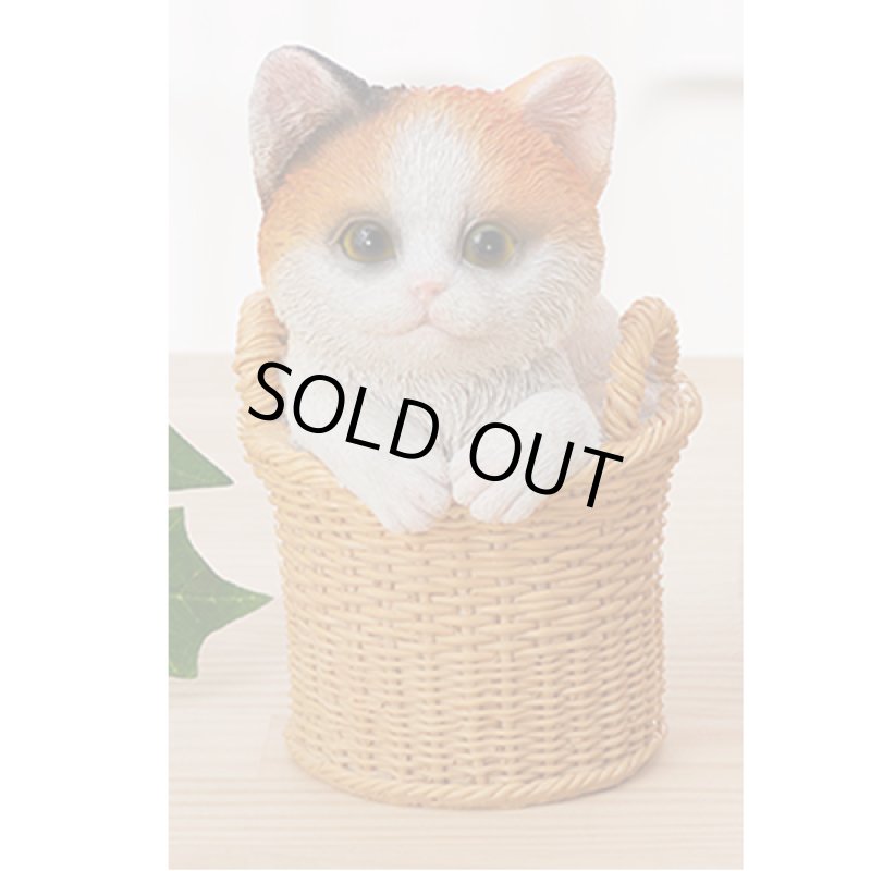 画像11: せまいところに入りたがる！ひょこニャン (11)