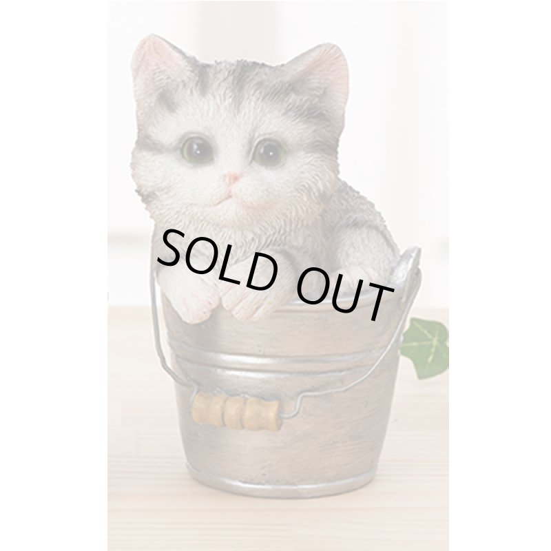 画像10: せまいところに入りたがる！ひょこニャン (10)