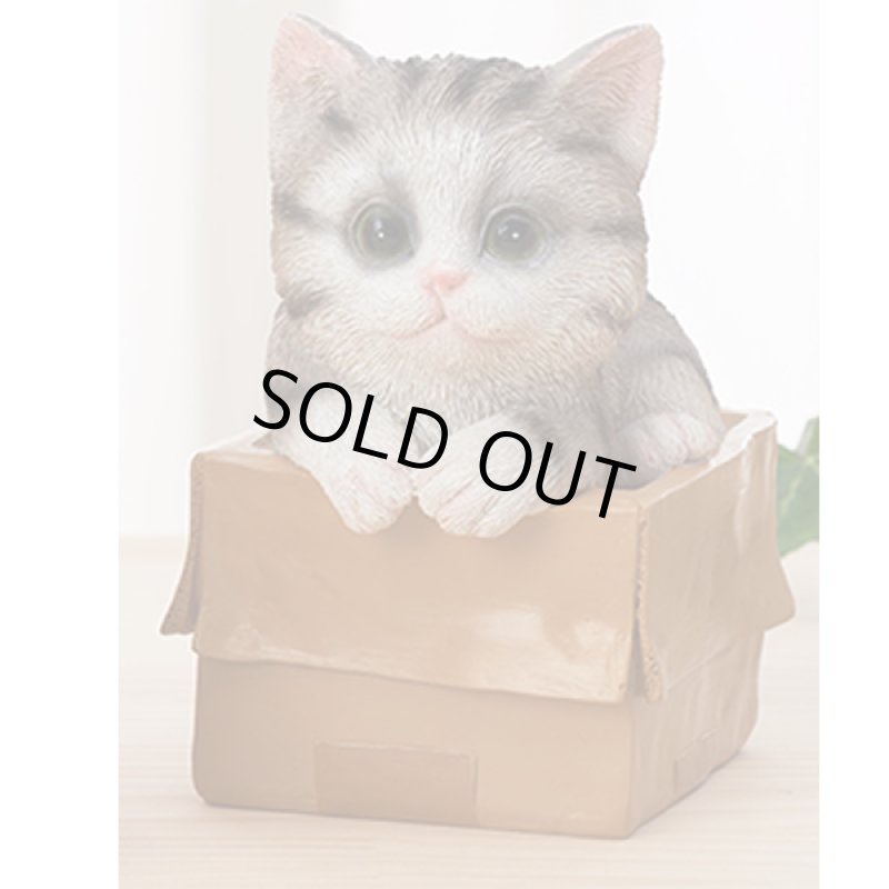 画像6: せまいところに入りたがる！ひょこニャン (6)