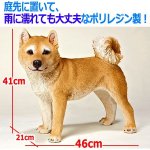 画像3: リアルなペットオブジェ「柴犬（大）」III  (3)