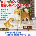 画像5: リアルなペットオブジェ「2体セット（柴犬＆マメシバ）」III  (5)