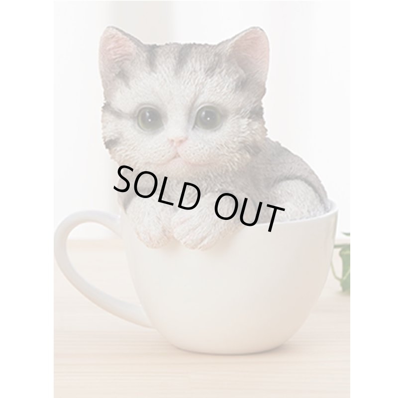 画像8: せまいところに入りたがる！ひょこニャン (8)