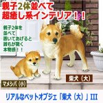 画像5: リアルなペットオブジェ「柴犬（大）」III  (5)