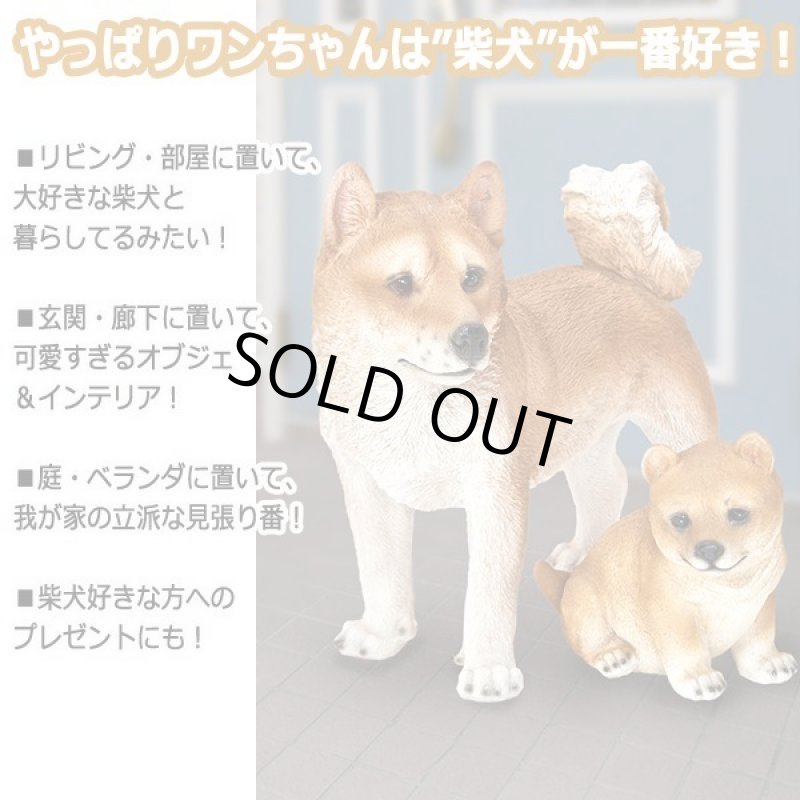 画像4: リアルなペットオブジェ「2体セット(柴犬&マメシバ)」III  (4)