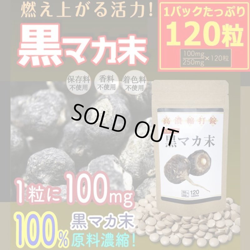 画像1: 高品質希少黒マカで活力向上！高濃縮打錠黒マカ末[1パック/120粒] (1)