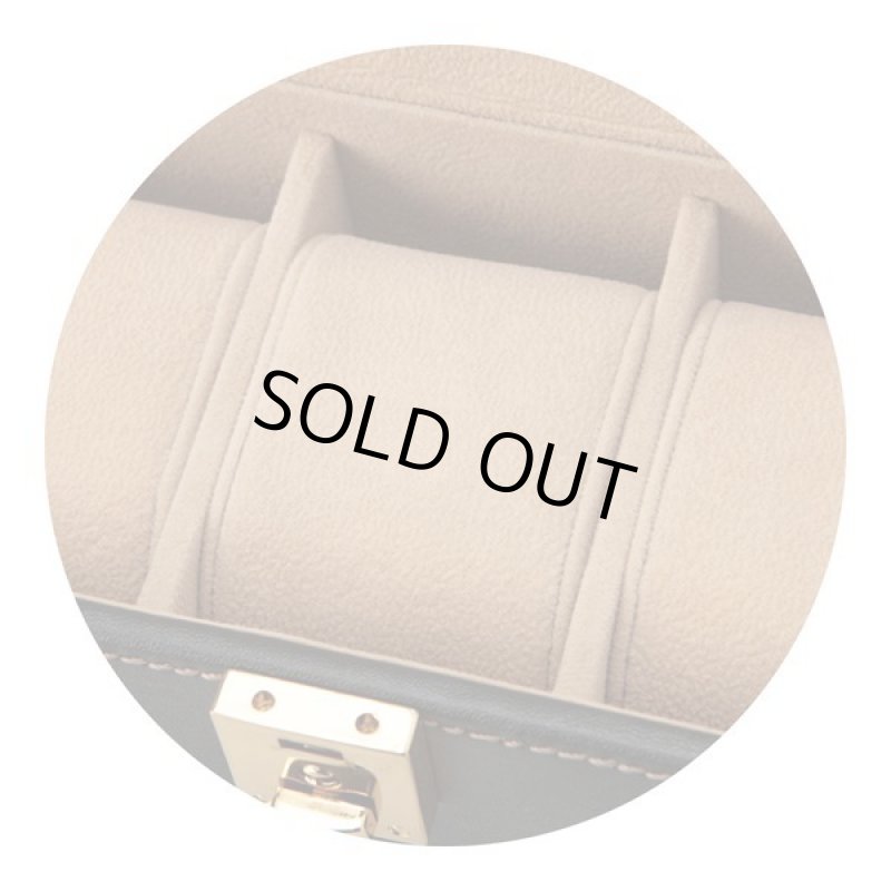 画像6: エレメンタム「ウォッチケース（5本用）」 (6)