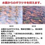 画像5: renomaレノマ超軽量  調光・偏光サングラス (5)