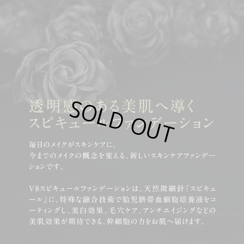 画像2: 正規品 V8SPICULE FOUNDATIONスピキュールファンデーション18g (2)