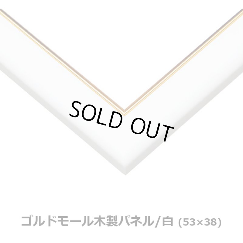 画像3: ジグソーフラワーシリーズ「フローラルシンフォニー」フレームセット（600P） (3)