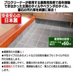 画像2: 頑固な玄関タイルの汚れを除去！プロ用玄関洗浄剤1L (2)