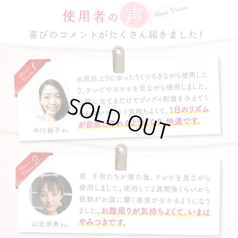 画像8: お腹と骨盤底筋を振動刺激で快調！Labonetzでるブル (8)