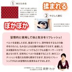 画像9: 撫でるだけのお腹快調習慣！Cho-Wa真野先生の揉まれる腹巻 (9)