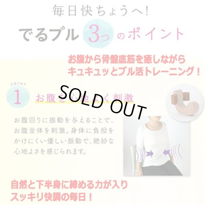 画像2: お腹と骨盤底筋を振動刺激で快調！Labonetzでるブル (2)