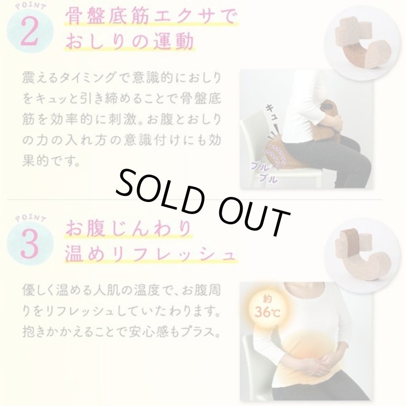 画像3: お腹と骨盤底筋を振動刺激で快調！Labonetzでるブル (3)