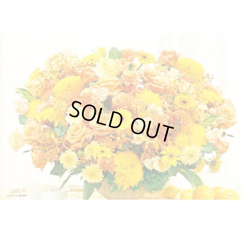 画像2: ジグソーフラワーシリーズ「夢が叶うパワフルイエロー」フレームセット（1000マイクロP） (2)