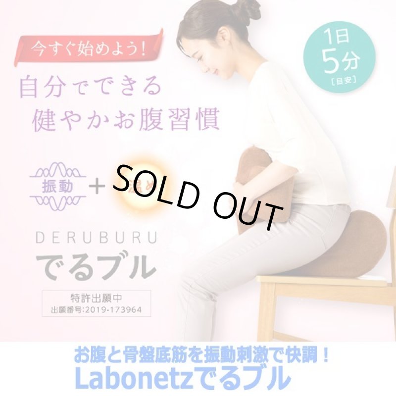 画像10: お腹と骨盤底筋を振動刺激で快調！Labonetzでるブル (10)