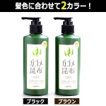 画像4: 色づき・色味に自信！退色防止アップ！ガゴメ昆布白髪染めヘアカラートリートメント240ml[1ボトル] (4)