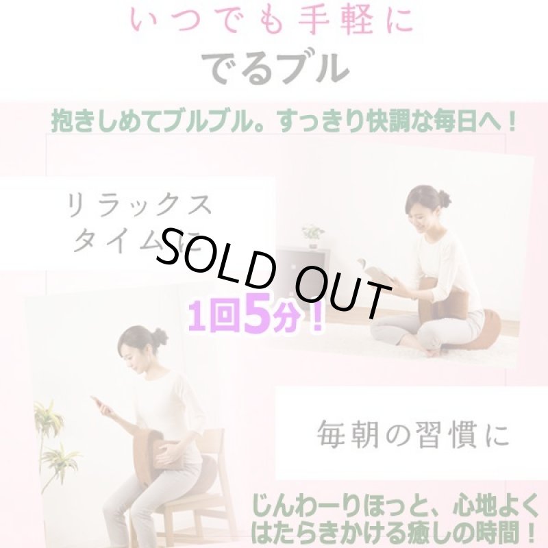 画像5: お腹と骨盤底筋を振動刺激で快調！Labonetzでるブル (5)