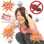 画像6: FLY TRAP（ハエ取りトラップ）5個セット (6)