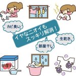 画像4: シェルパEX におい＆カビSTOP洗濯シェルくん (4)