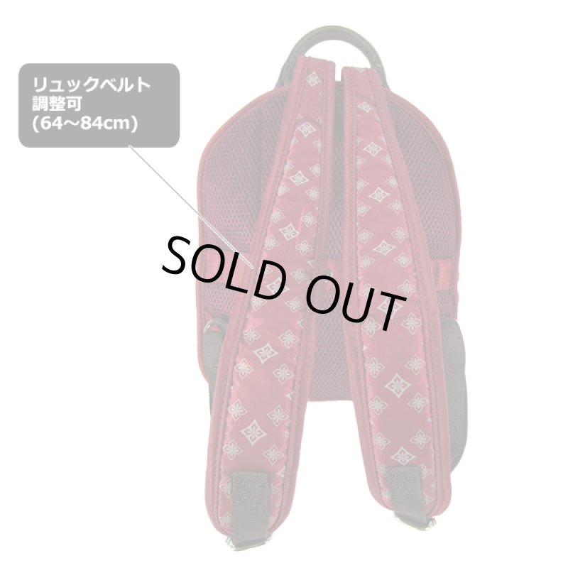 画像6: ANNA CRISTINAアンナクリスティーナミニリュック／モノグラム (6)