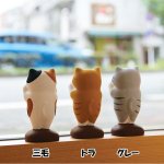 画像6: ぺったり猫３種セット (6)