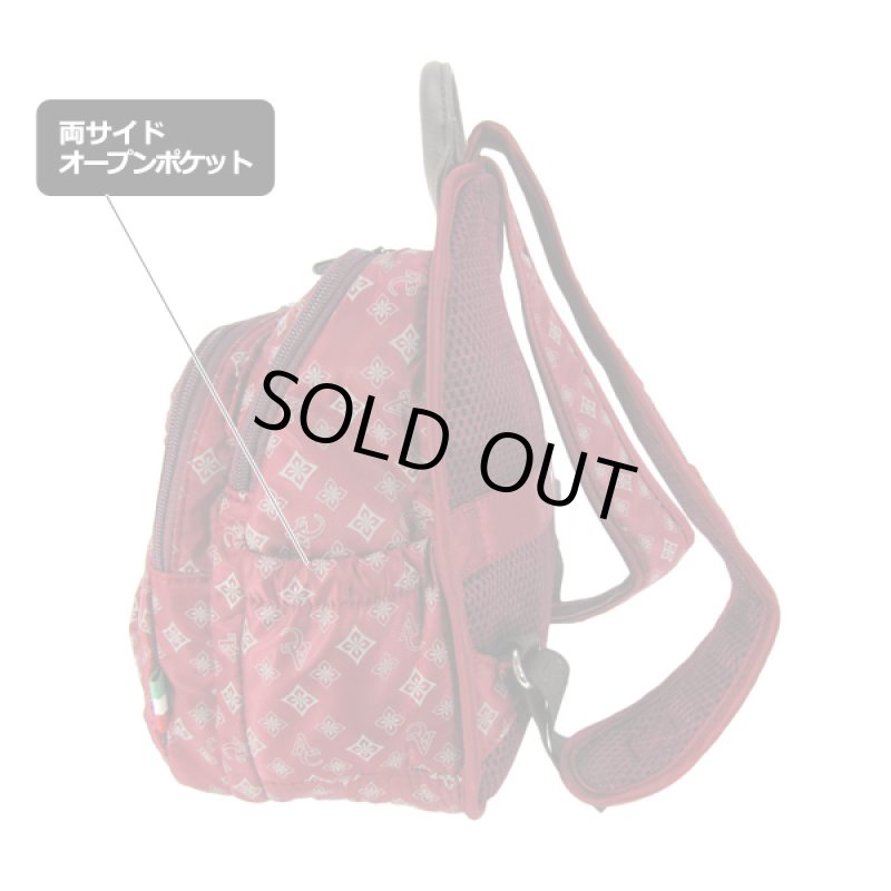 画像5: ANNA CRISTINAアンナクリスティーナミニリュック／モノグラム (5)