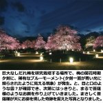 画像2: 幸運をもたらす奇跡の写真「天望（菩薩の現れ）」 (2)