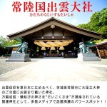 画像3: 常陸国出雲大社万願御祈祷ブレスレット (3)