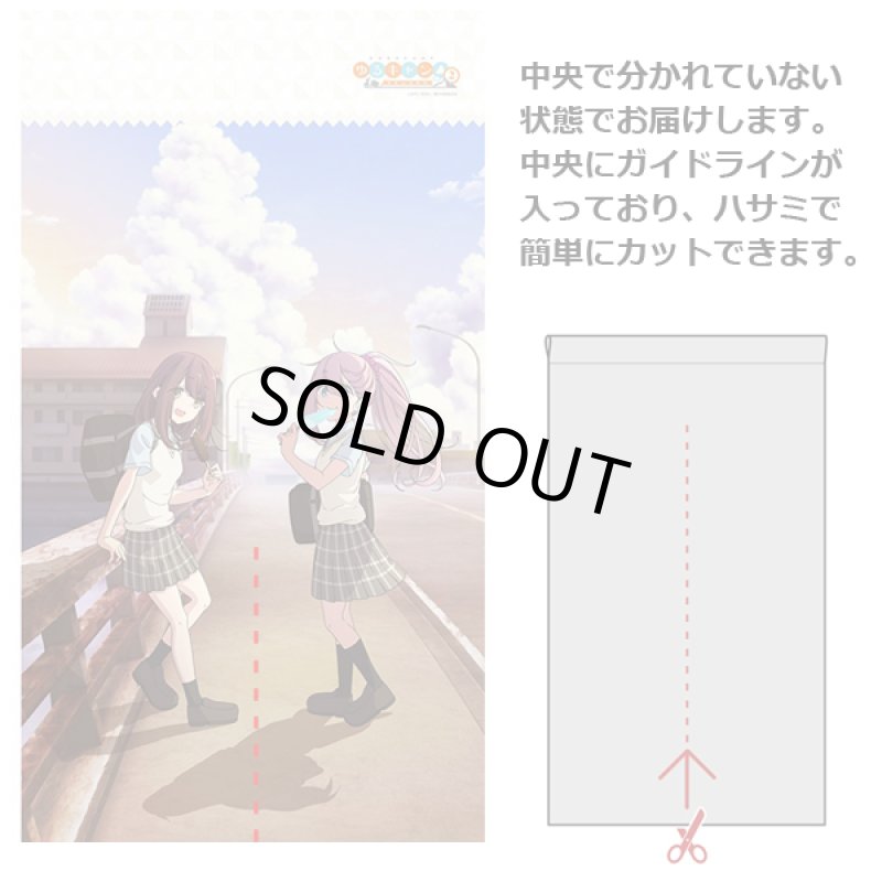 画像3: ゆるキャン△インテリアのれん (3)