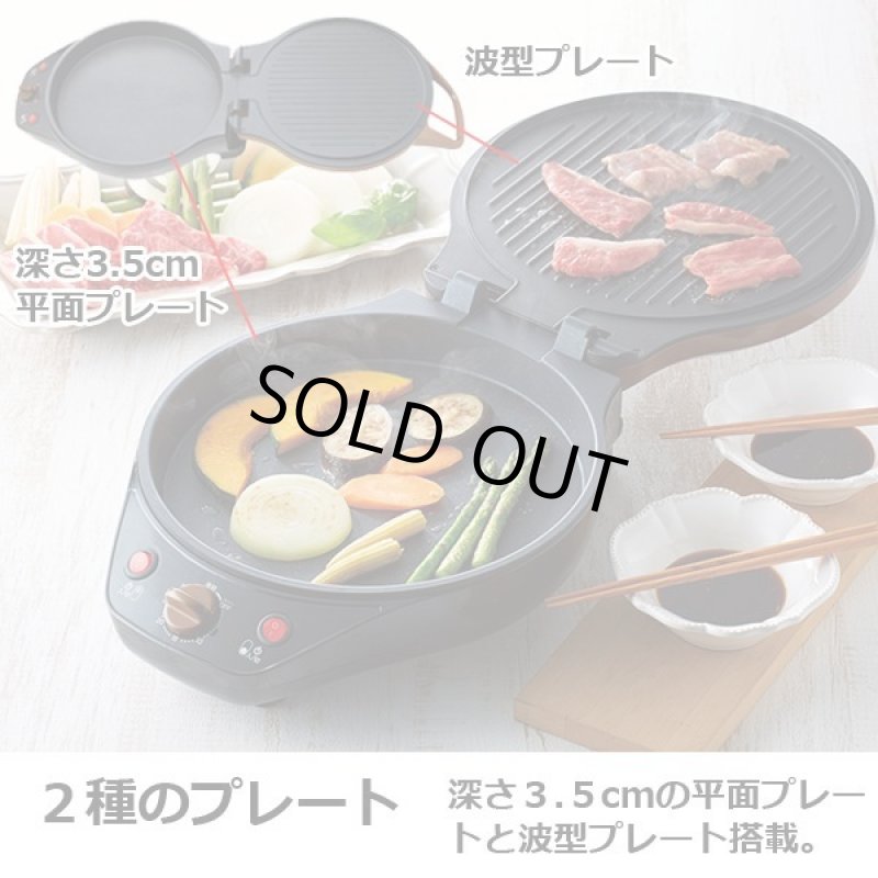 画像7: ダブルホットプレート (7)