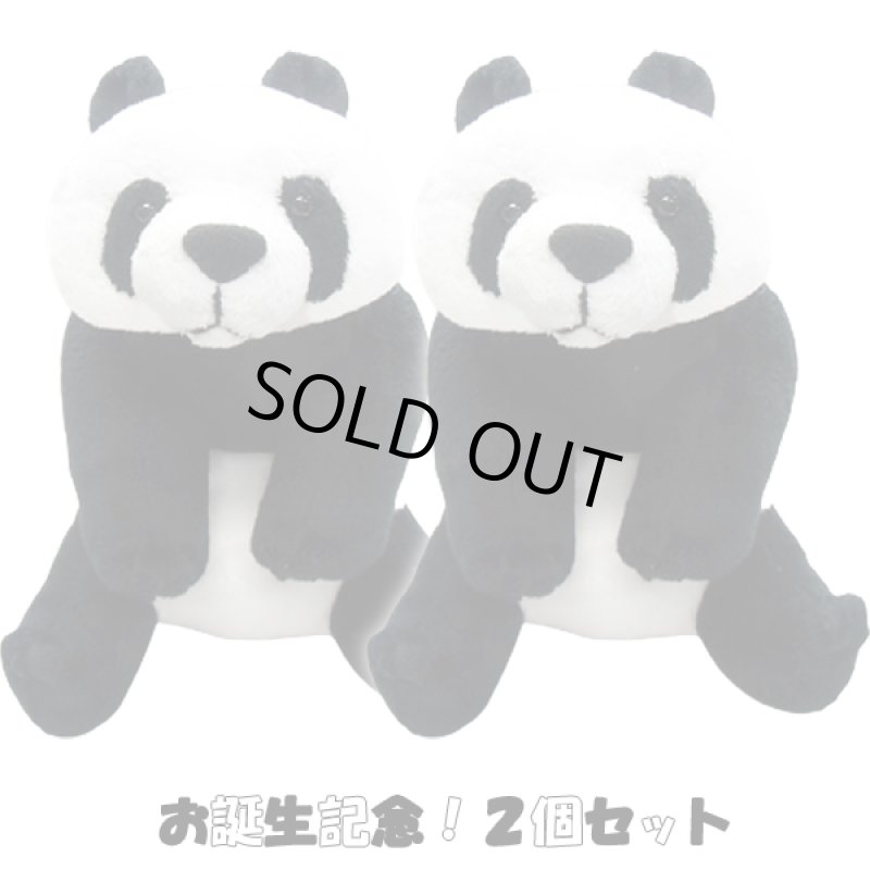 画像7: お誕生記念！！赤ちゃんパンダぬいぐるみ2個セット  (7)