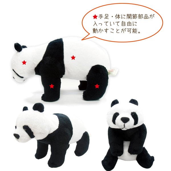 Amazon.co.jp: ぱんだの赤ちゃんとピョピョの戯れ ぬいぐるみ