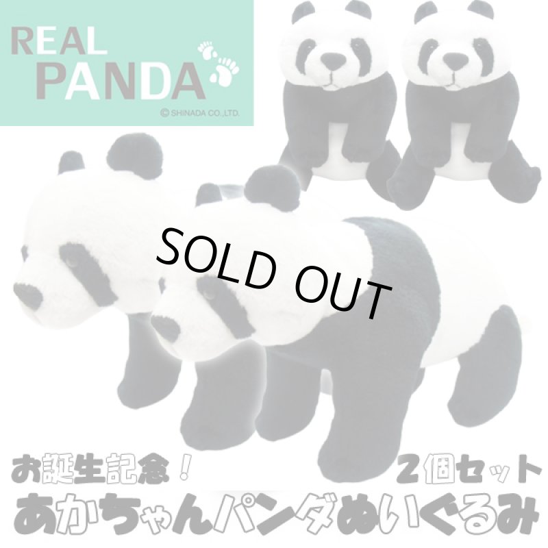 画像1: お誕生記念！！赤ちゃんパンダぬいぐるみ2個セット  (1)