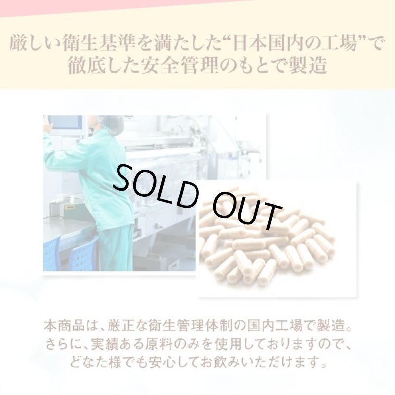 画像8: どんなに食べてもいい日が毎日！カット系ダイエットサプリメント「チートディ365」[1パック/40粒]  (8)